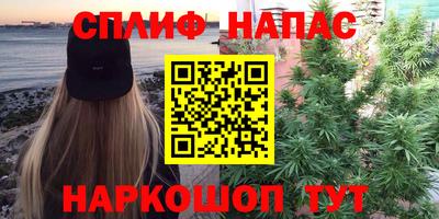 a pvp Краснознаменск