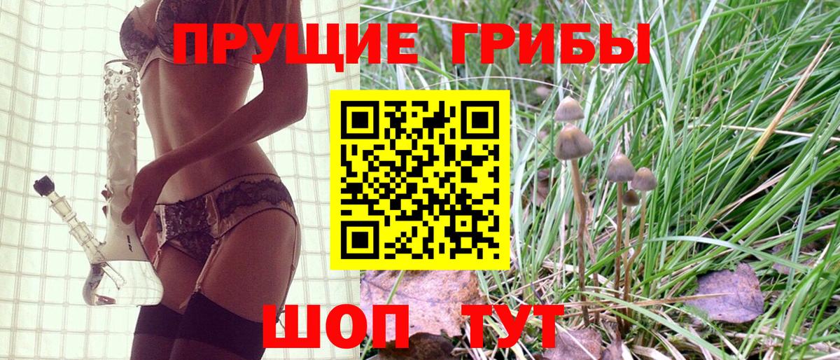 Касимов  Галлюциногенные грибы мицелий  Вход с VPN 